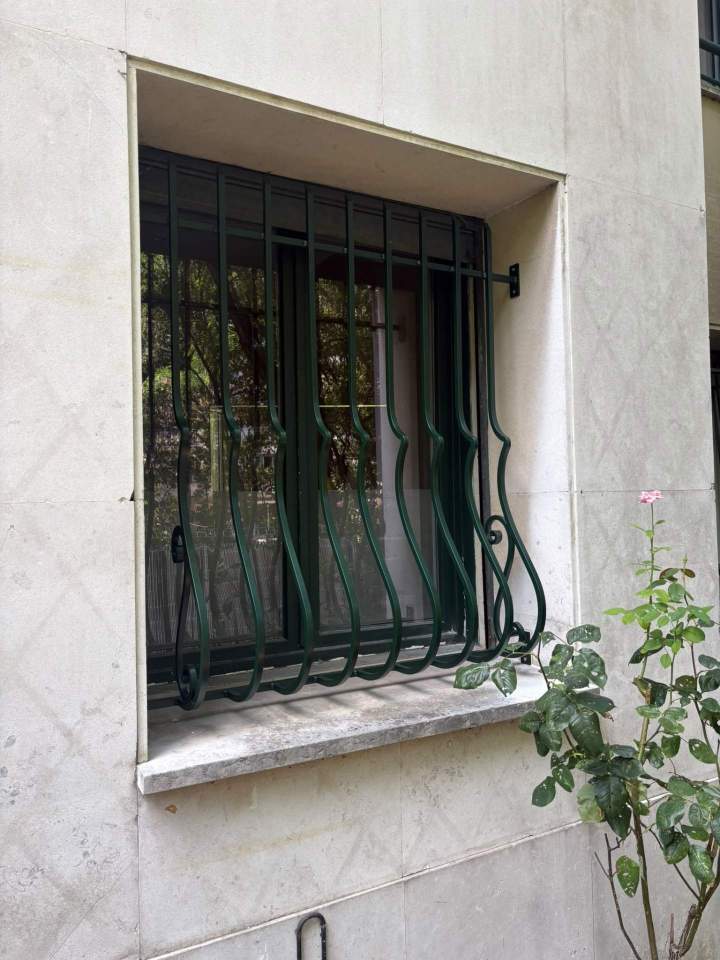 apres installation grille de protection paris16